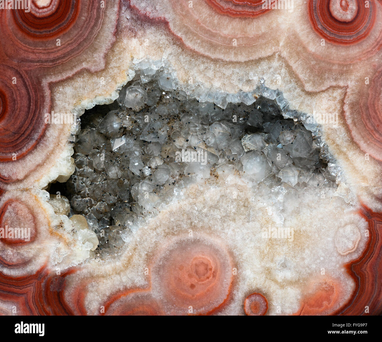 Backgrounds and textures: surface of beautiful brown-white decorative