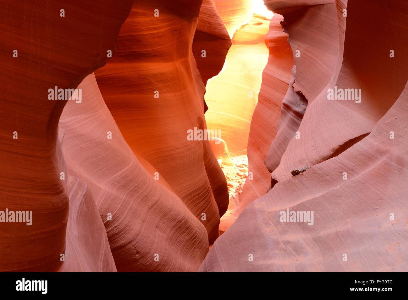 Red Rocks - The midday sun lights up the colorful sandstone rocks in a high desert slot canyon. Stock Photo