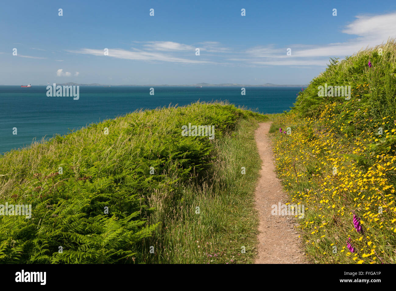Coast path looking out to St Brides Bay - Pembrokeshire Stock Photo