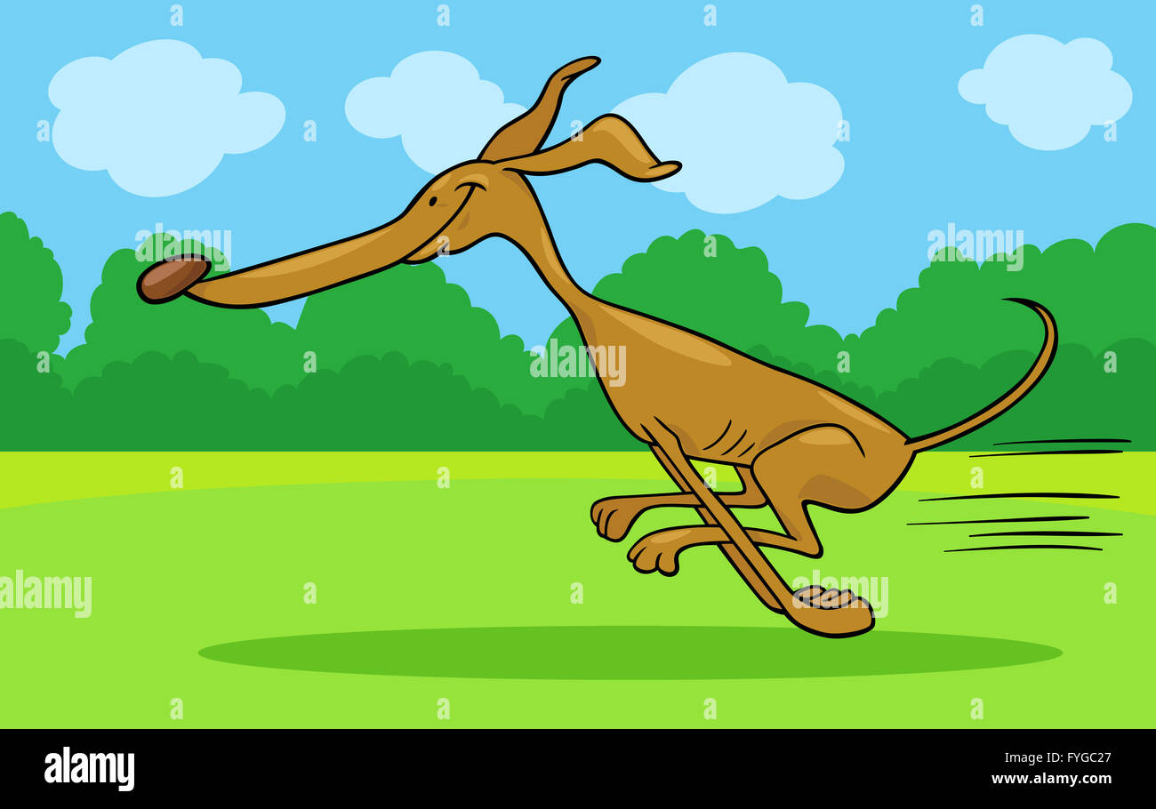 running greyhound cartoon illustration Stock Photo - Alamy