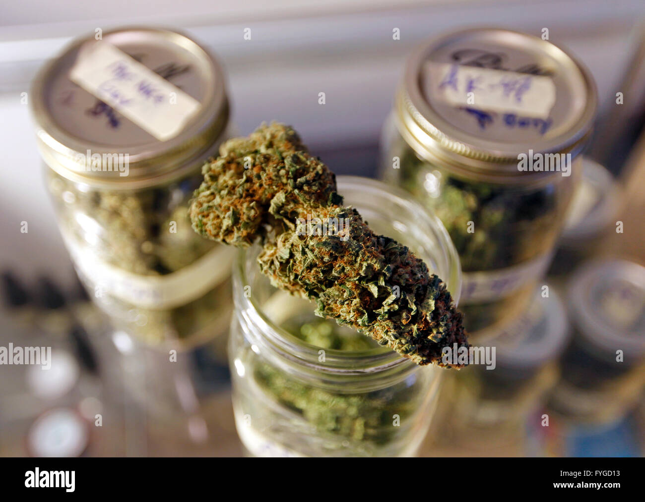 "Afghani", "Nice Guy", and "AK47" names to these different jars of