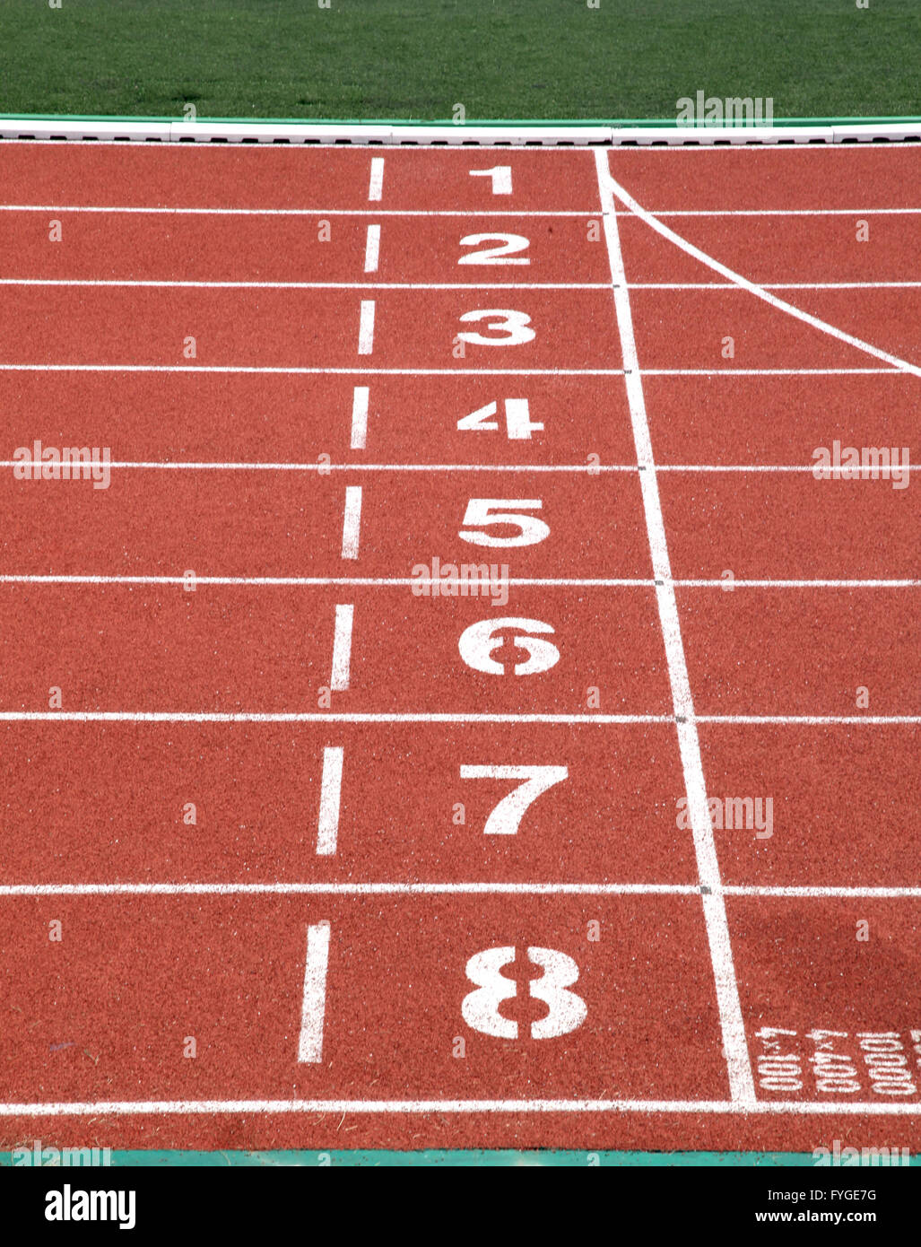 Start and Finish point of race track in stadium Stock Photo Alamy