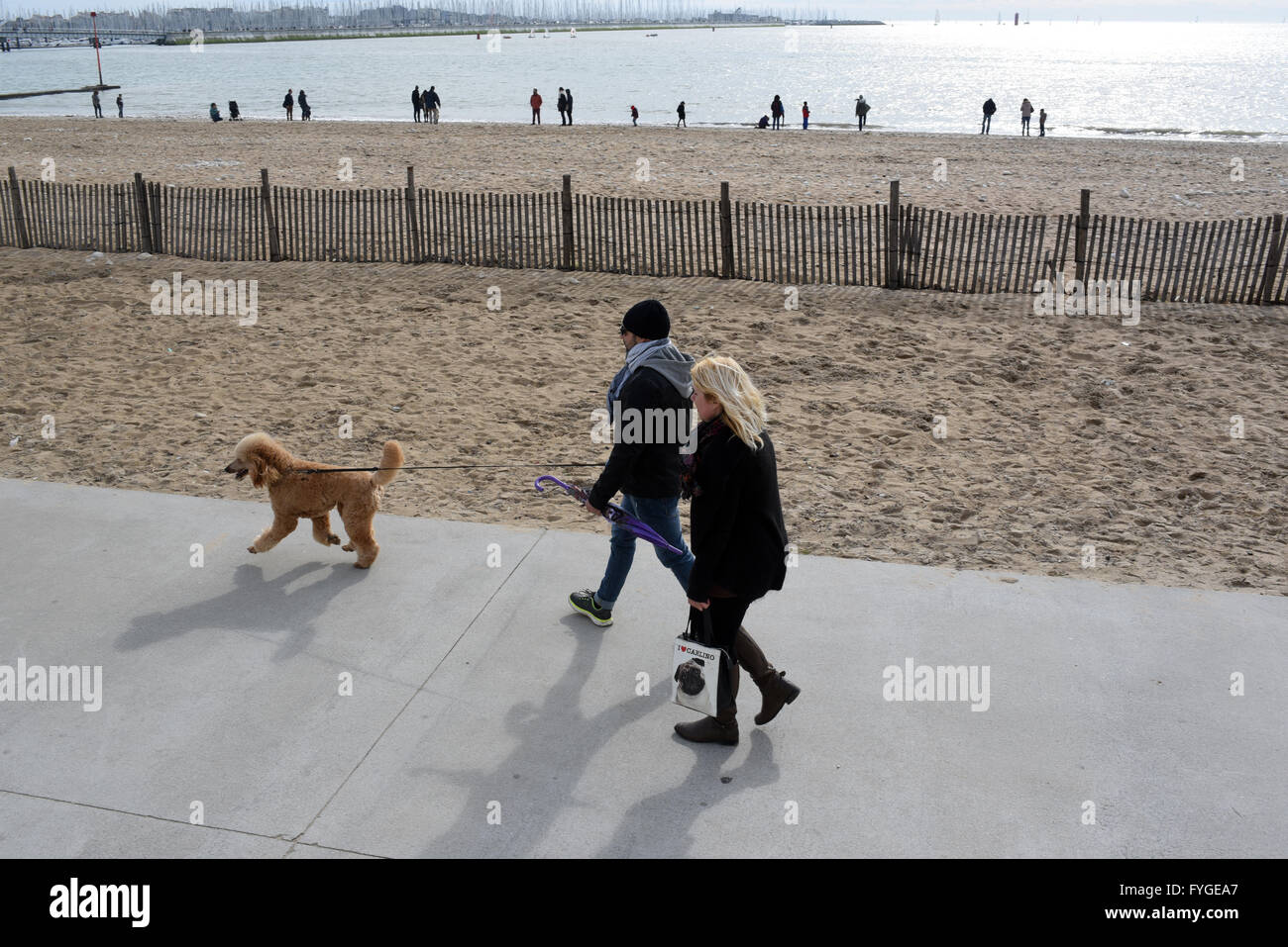 Beach walk boardwalk stroll dog couple sea seaside Stock Photo