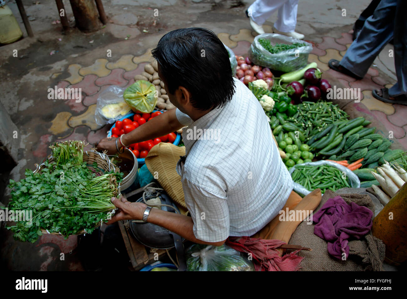 Vegetable vendor, Old Delhi, India Stock Photo