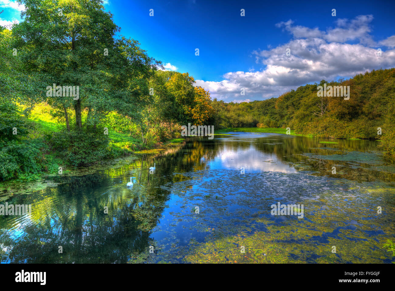 Otterhead Lakes East Devon England uk in the Blackdown Hills Area of Outstanding Natural Beauty Stock Photo