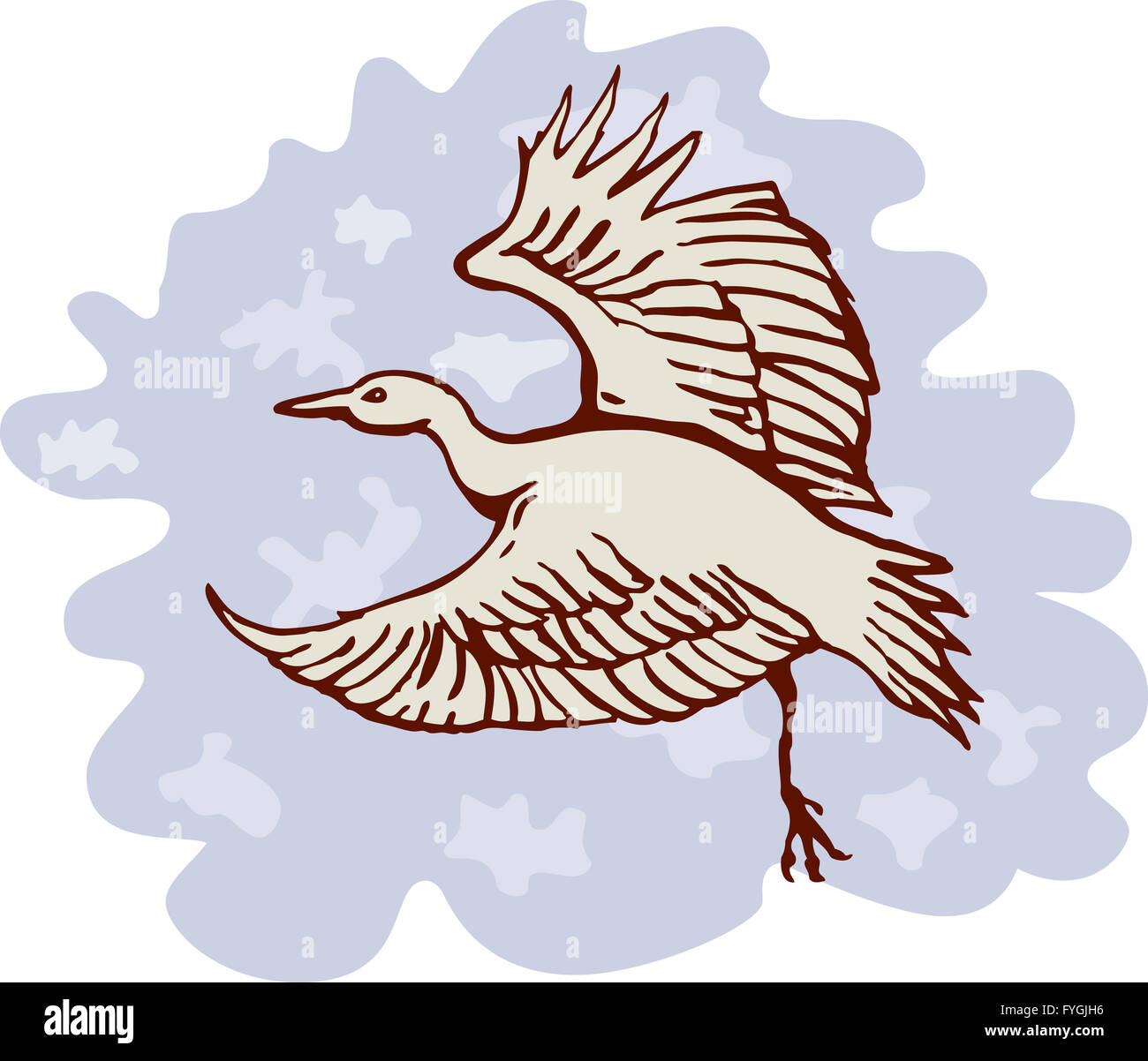 heron crane flying side view Stock Photo Alamy