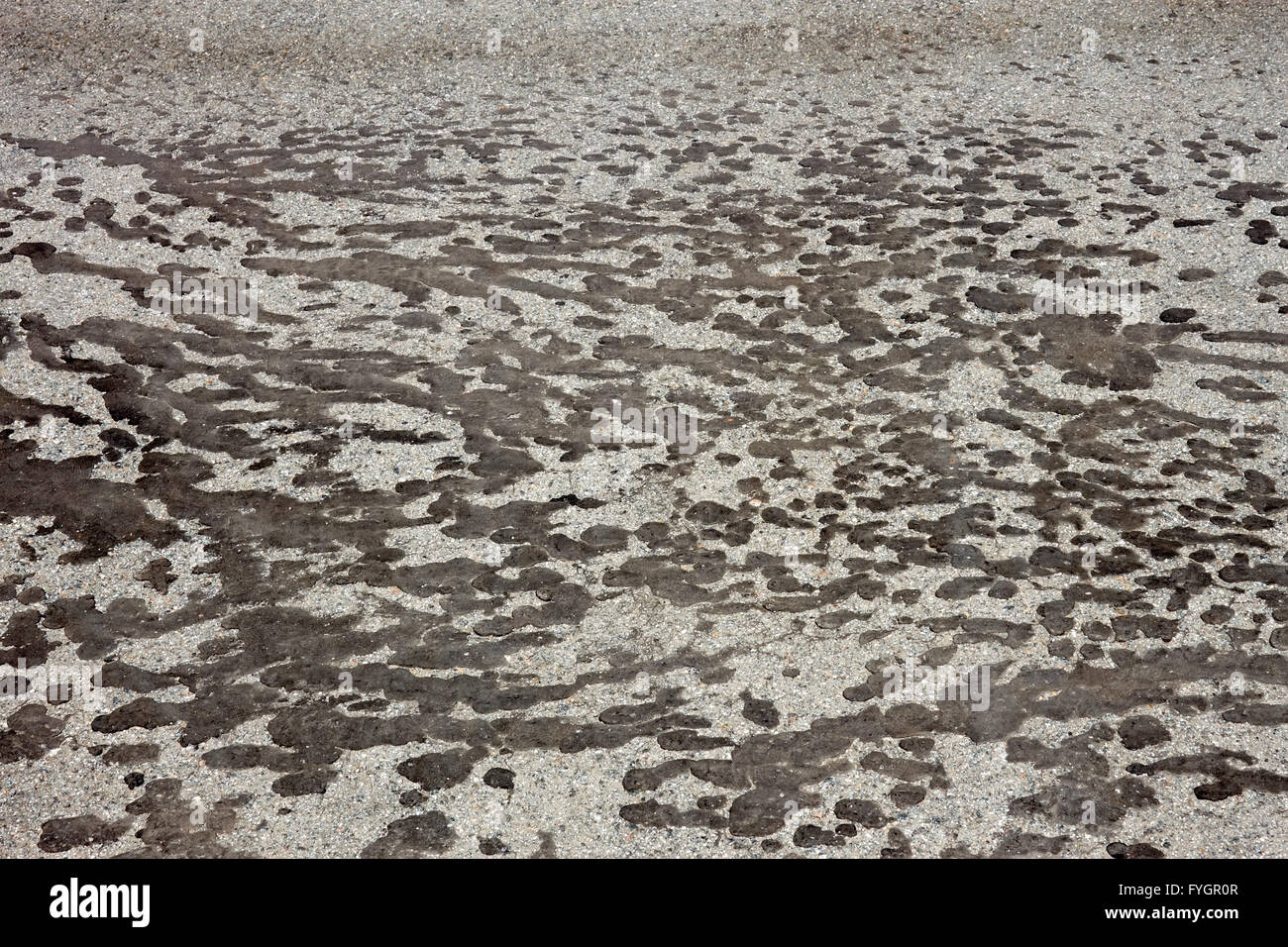 Tar stains on gray asphalt Stock Photo Alamy