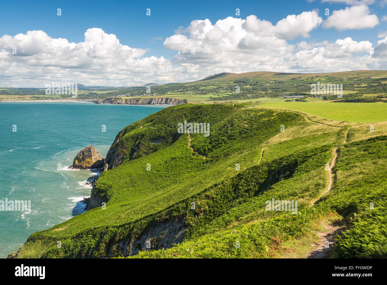 Needle Rock Dinas Island towards Newport and Preseli Mountains - Pembrokeshire Stock Photo