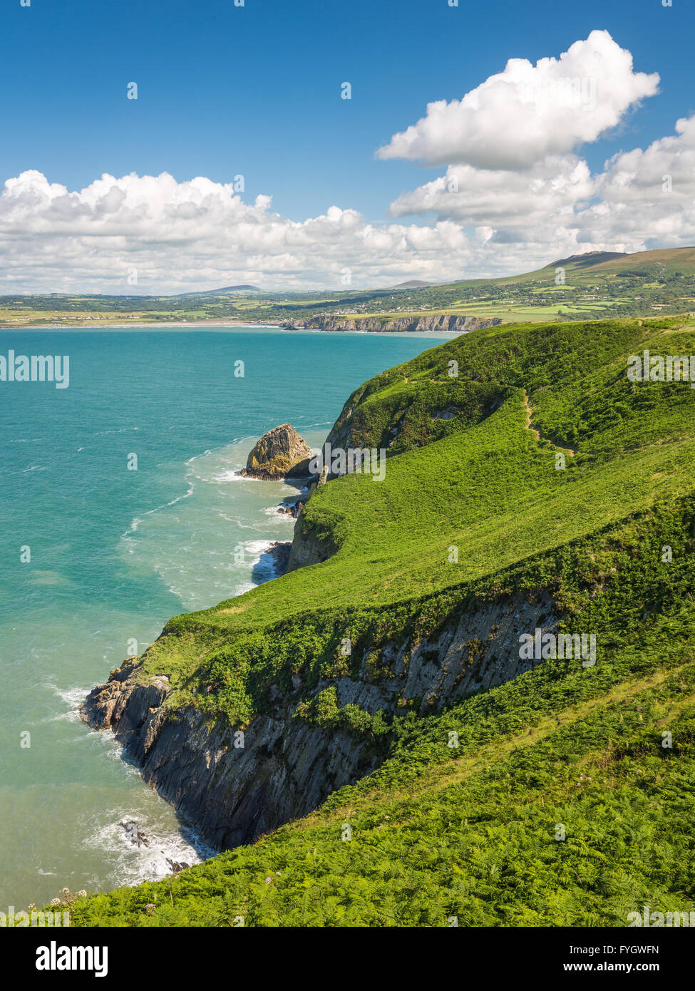 Needle Rock Dinas Island towards Newport and Preseli Mountains
