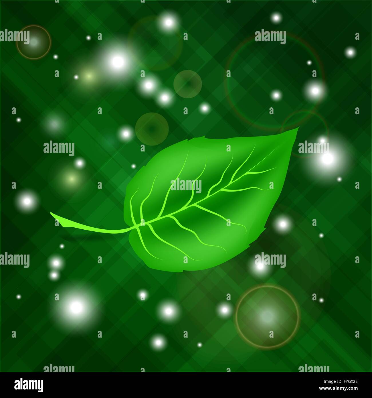 Spring Green Leaf Stock Vector Image & Art - Alamy