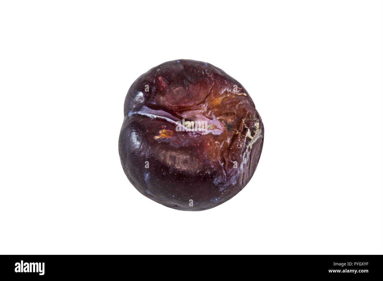 gone-off-plum-hi-res-stock-photography-and-images-alamy