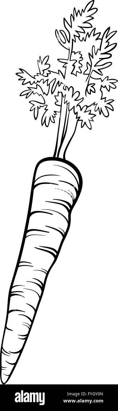 carrot vegetable cartoon for coloring book Stock Photo