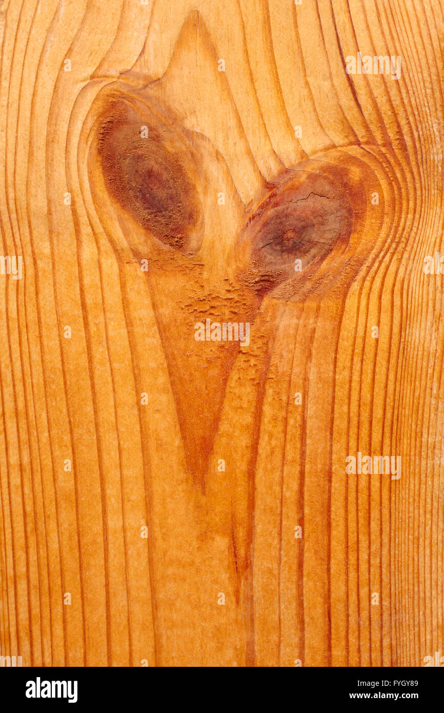 Lacquered wooden board with knots Stock Photo Alamy