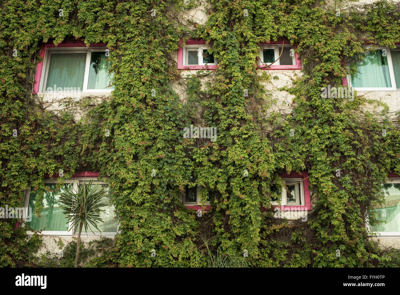 Outdoor view of eco friendly building facade, sustainable green architecture in the city. Stock Photo