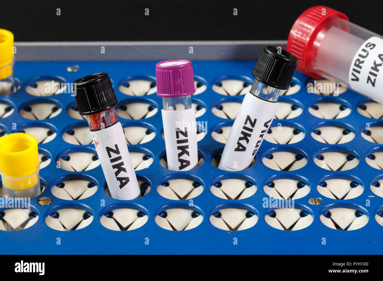 Blood collection tubes with labels Zika virus Stock Photo