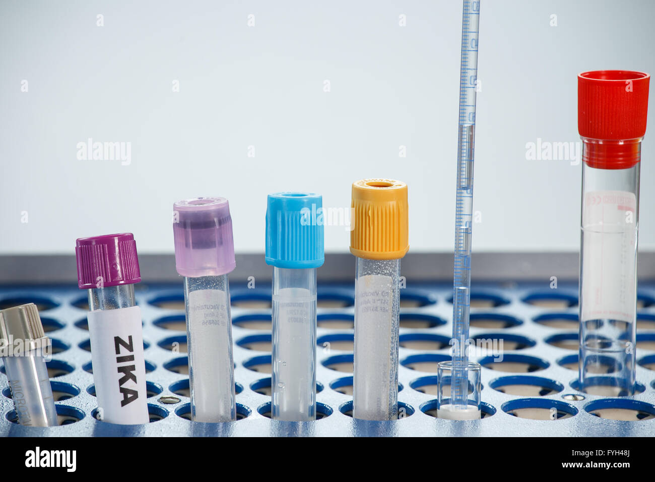 Test tube for analyzing ZIKA virus Stock Photo