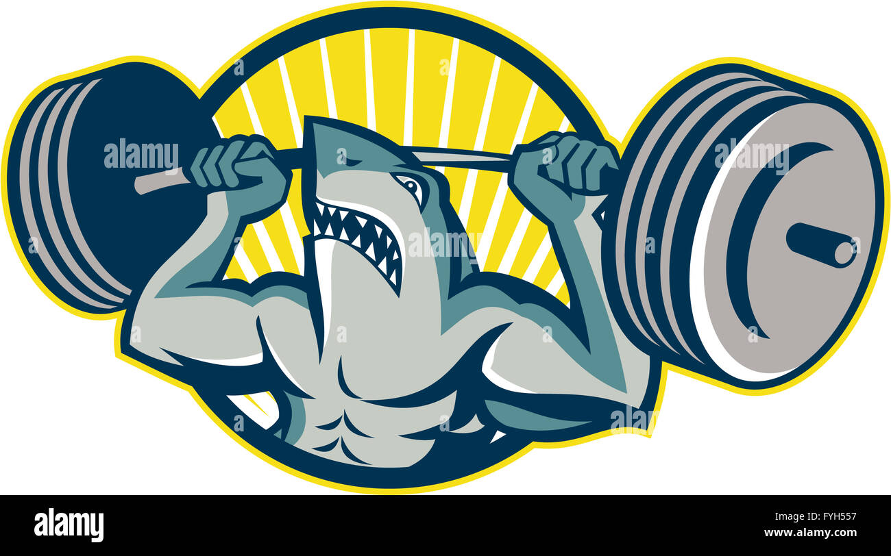 Shark Weightlifter Lifting Barbell Mascot Stock Photo Alamy