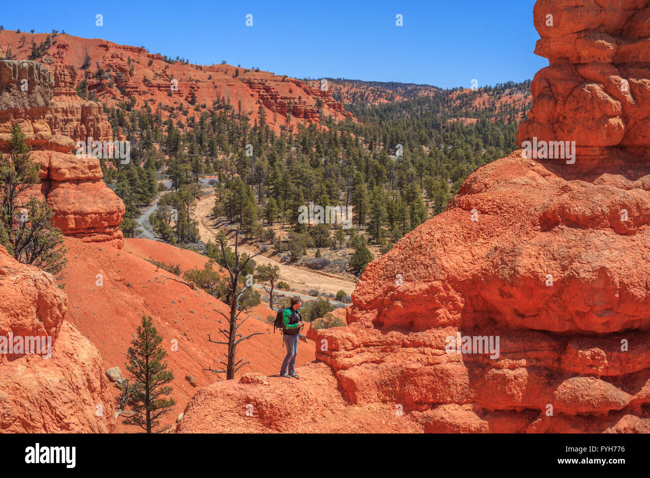 america, american, arch, bryce, canyon, cliff, desert, formation ...