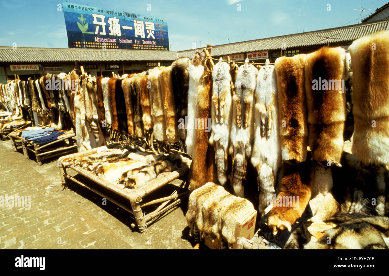 A fur market in China Stock Photo