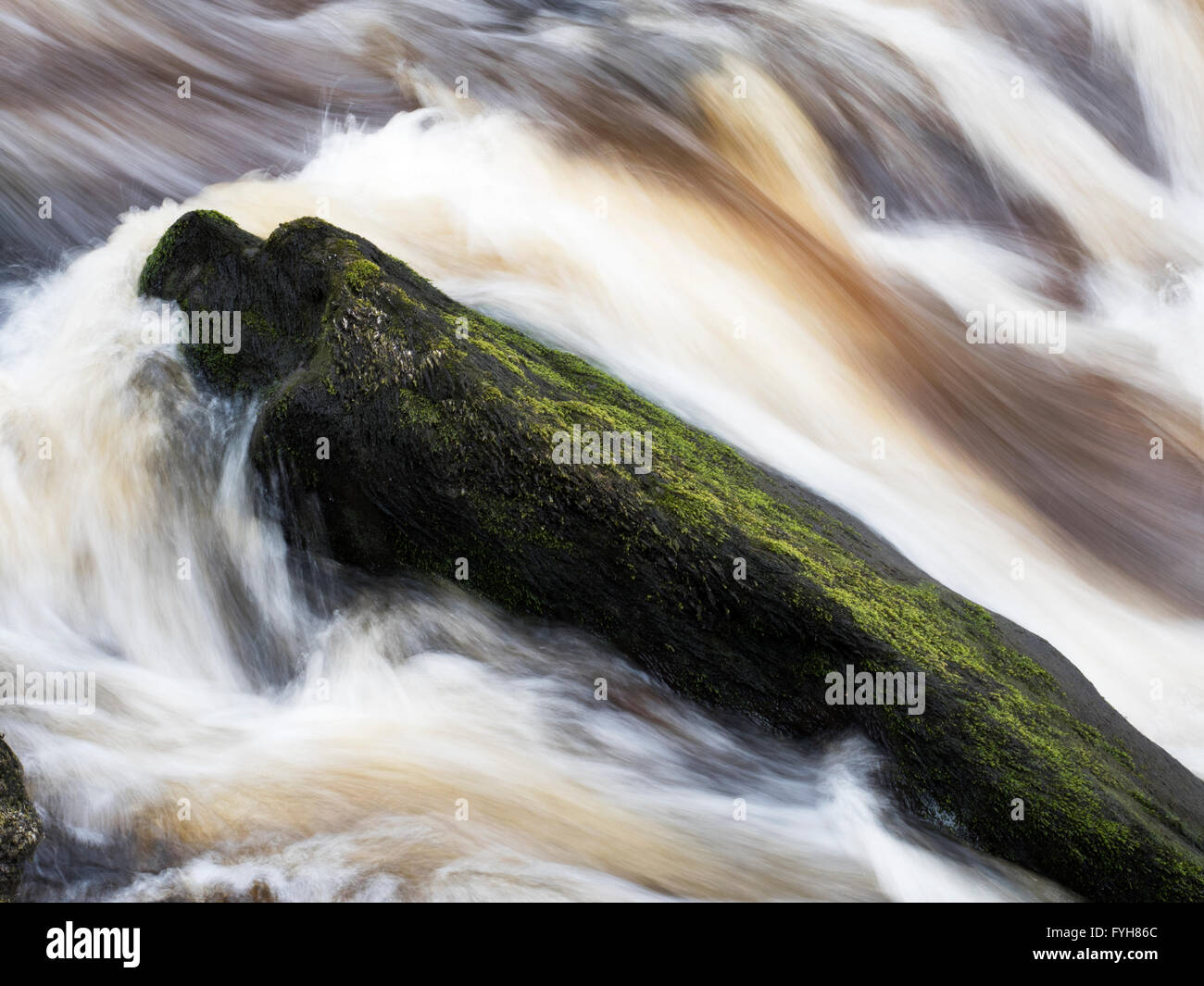 Mossy Rock and Peaty Water at The Strid Bolton Abbey Yorkshire Dales England Stock Photo
