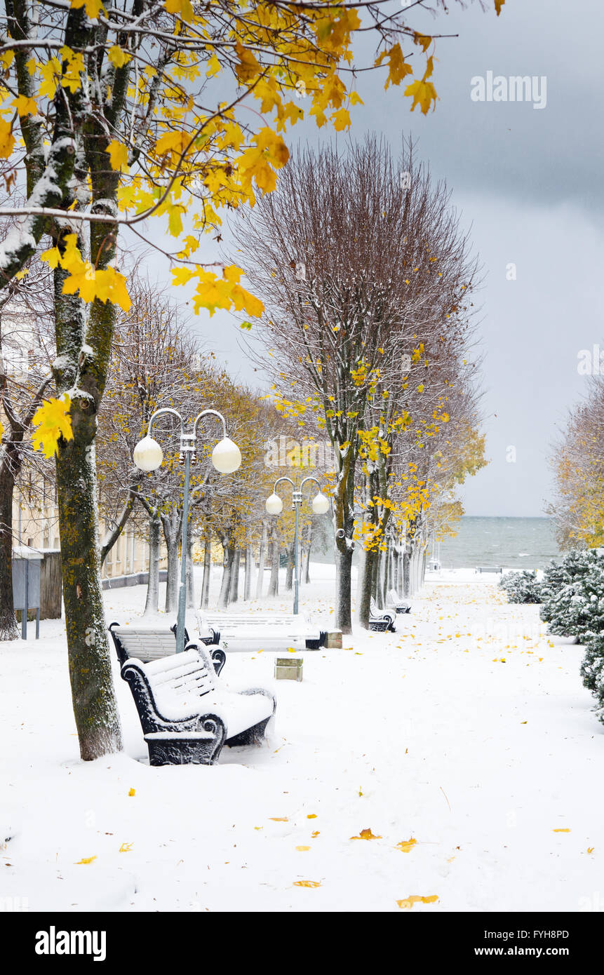 Alley in the Park later in the autumn. Snow storm Stock Photo - Alamy