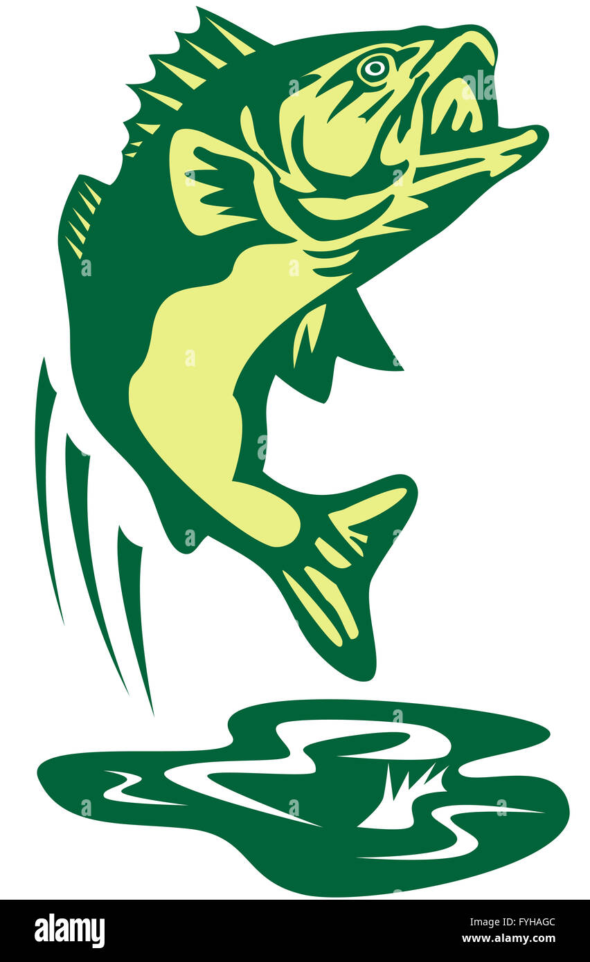largemouth bass jumping Stock Photo Alamy
