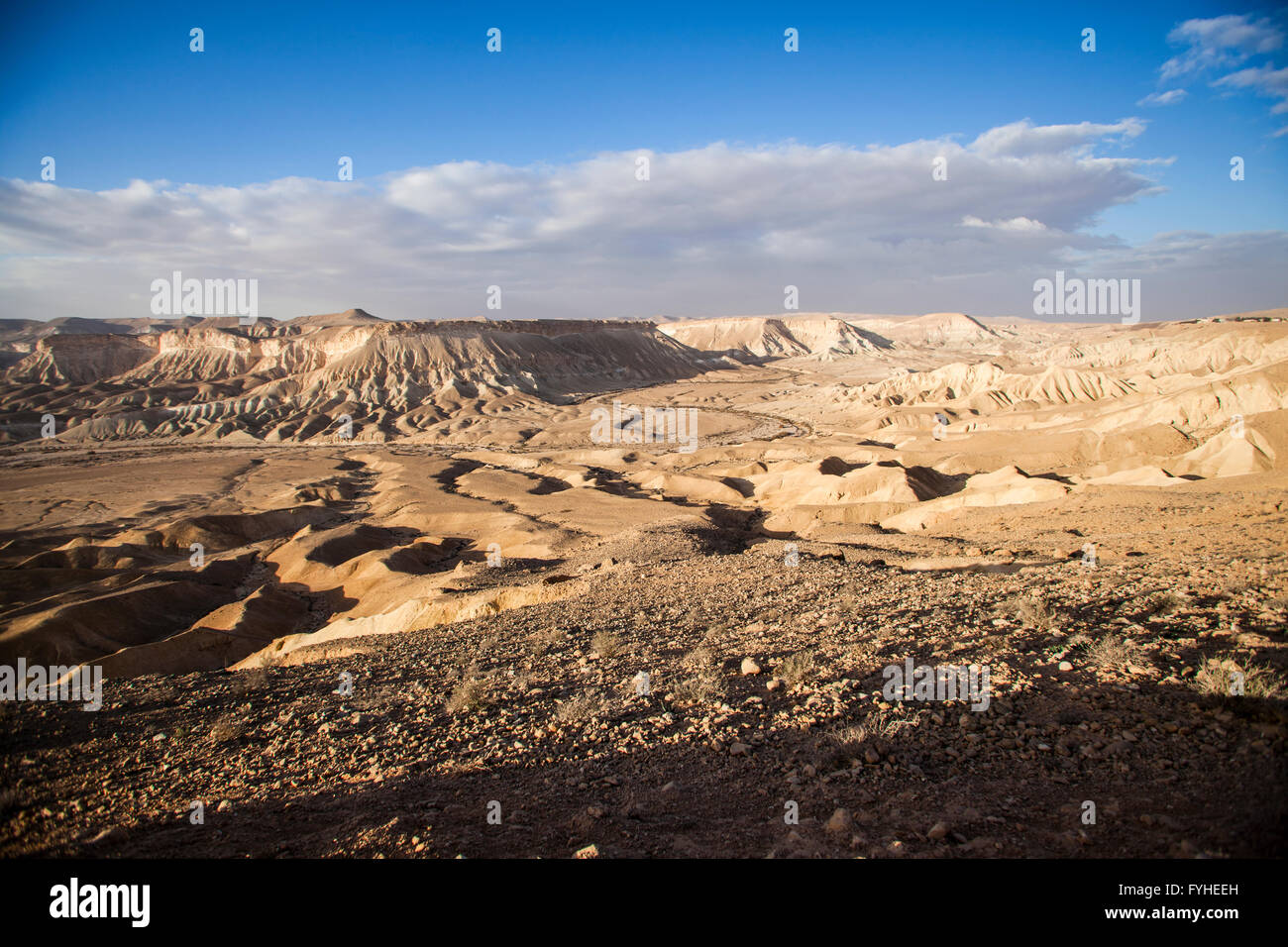 zin valley, negev desert, israel Stock Photo