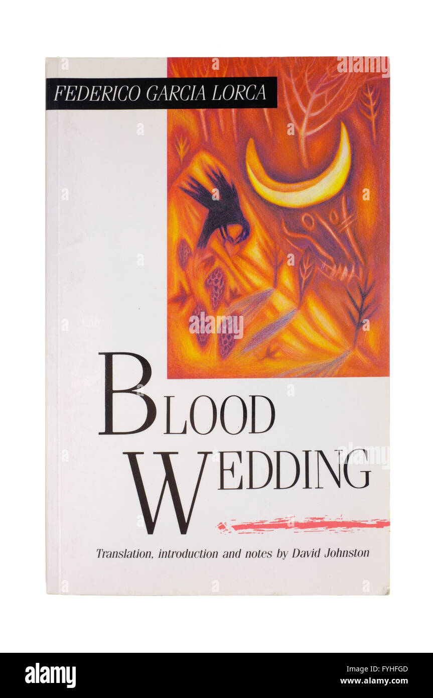 The front cover of Blood Wedding by Federico García Lorca photographed against a white background. Stock Photo