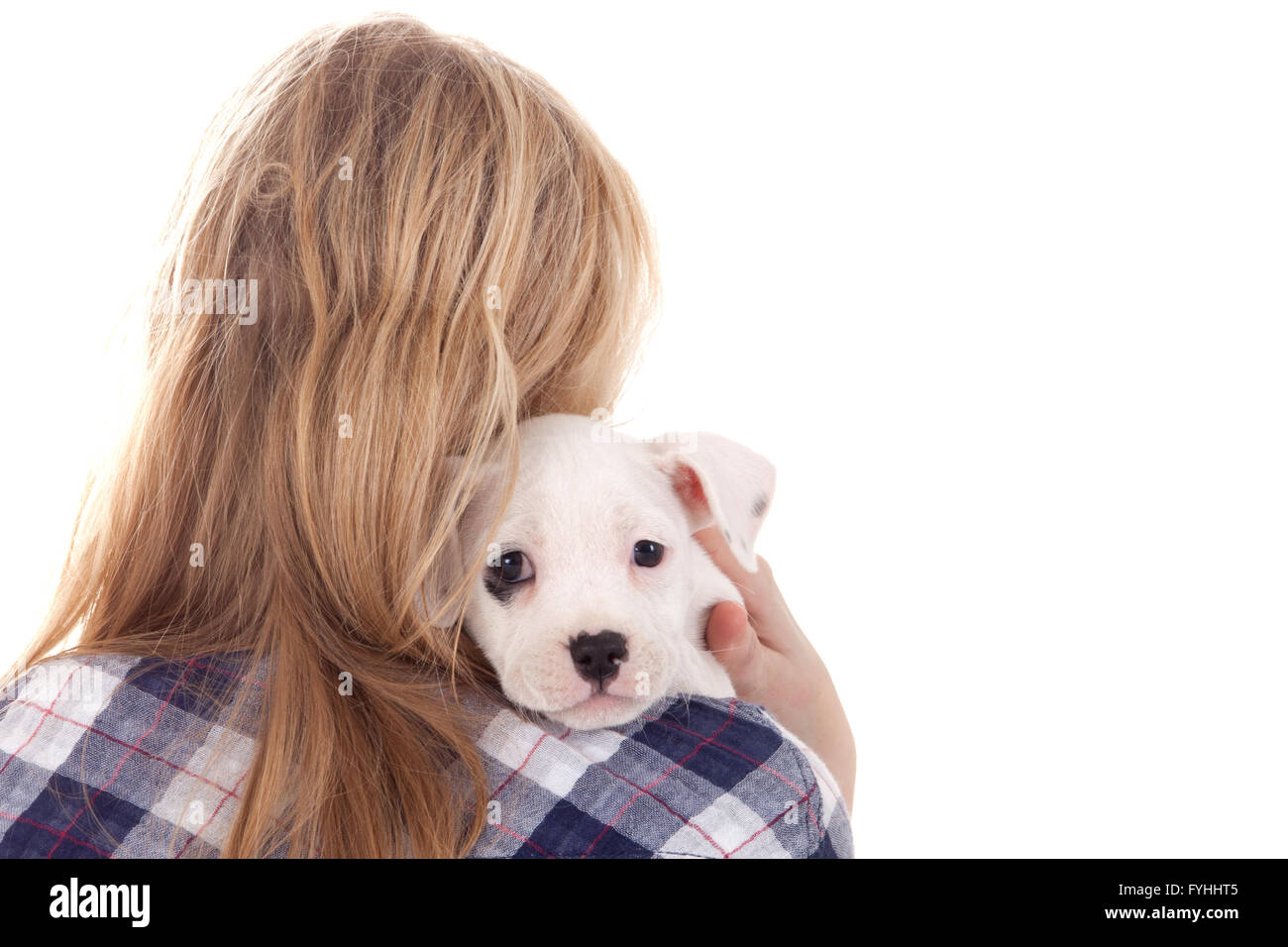 Puppy on my shoulder Stock Photo Alamy