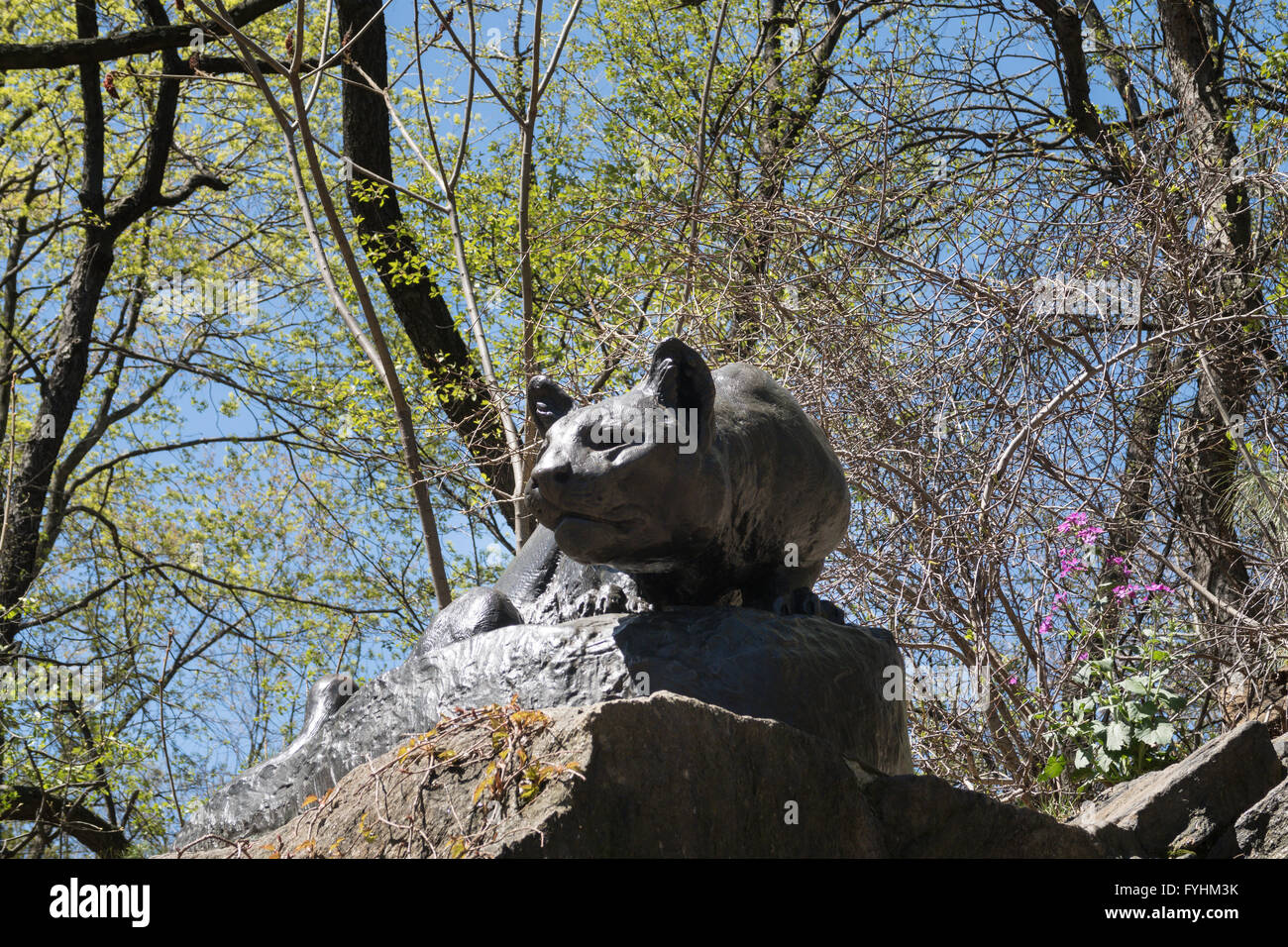 'Still Hunt' Cougar Sculpture, East Drive, 'Cat Hill', Central Park, NYC Stock Photo