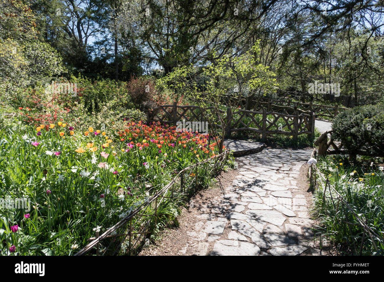 Shakespeare Garden Central Park Nyc Stock Photo 103036832 Alamy