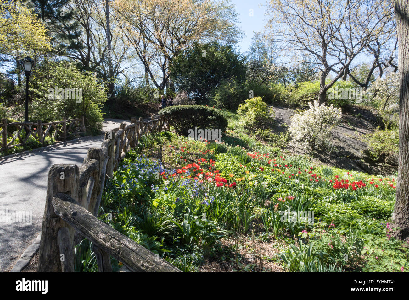 Shakespeare Garden Central Park Stock Photos Shakespeare Garden
