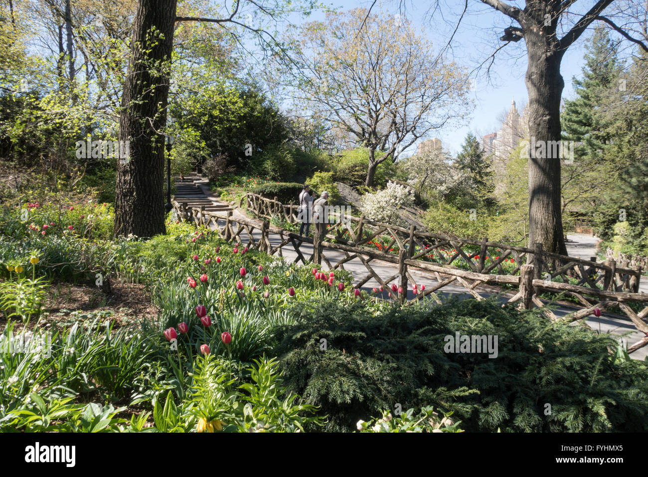 Shakespeare Garden Central Park Nyc Stock Photo 103037149 Alamy