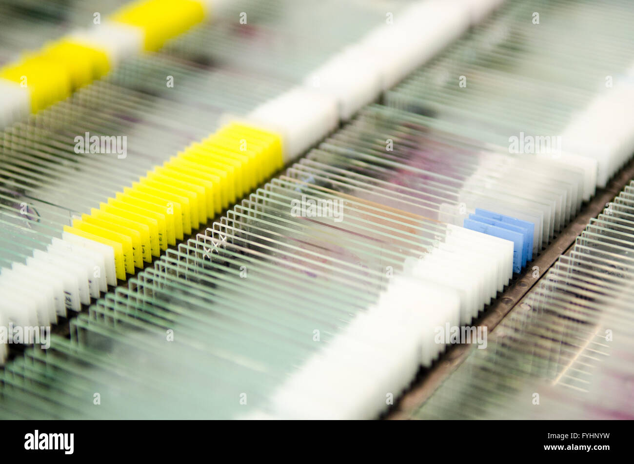 Racks of glass microscope slides containing patient or research test