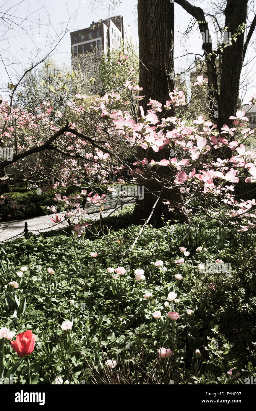 Springtime in Gramercy Park, NYC, USA Stock Photo