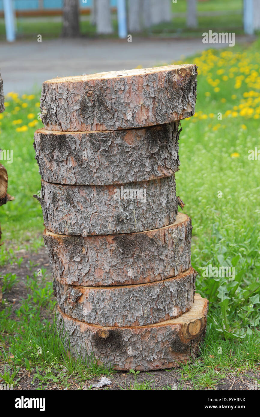 Cross section of tree trunk showing growth rings Stock Photo - Alamy
