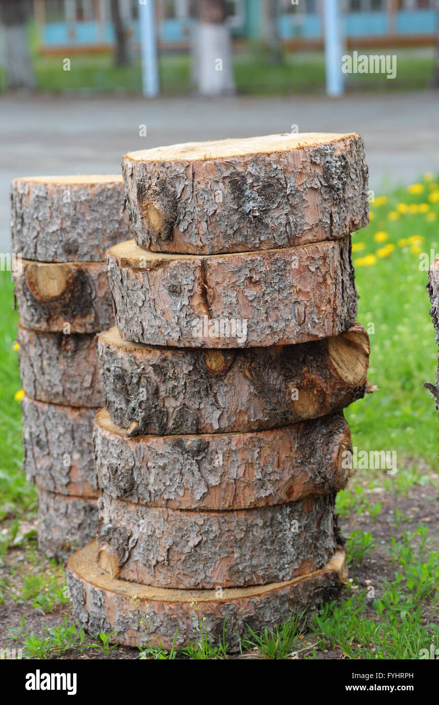 Cross section of tree trunk showing growth rings Stock Photo - Alamy