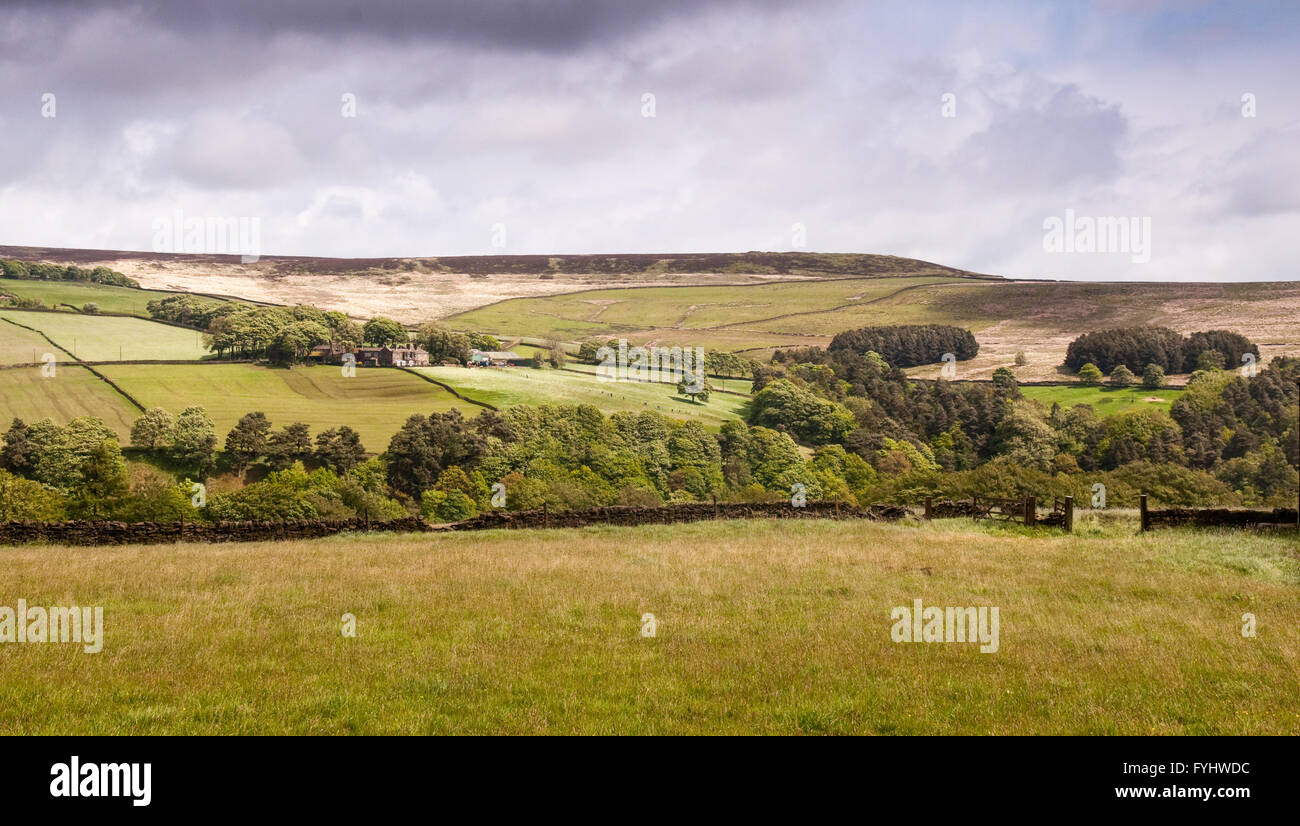 Agricultural fields and moorland above Heptonstall in the South Pennines uplands region of England. Stock Photo