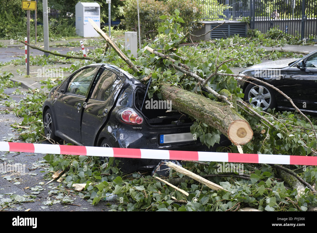 Car wreck damaged by a tree trunk Stock Photo