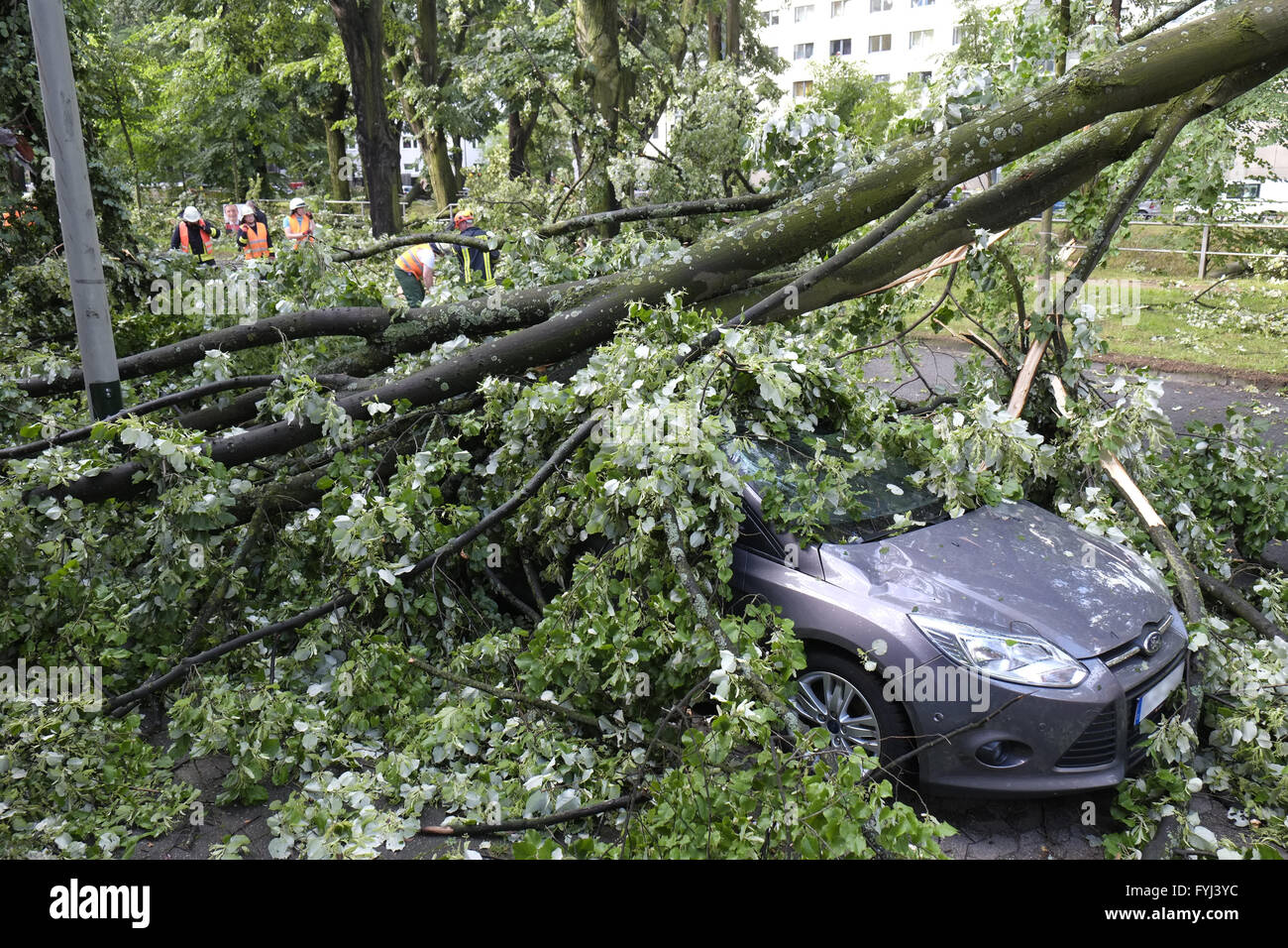 Car nburied under overturned tree Stock Photo