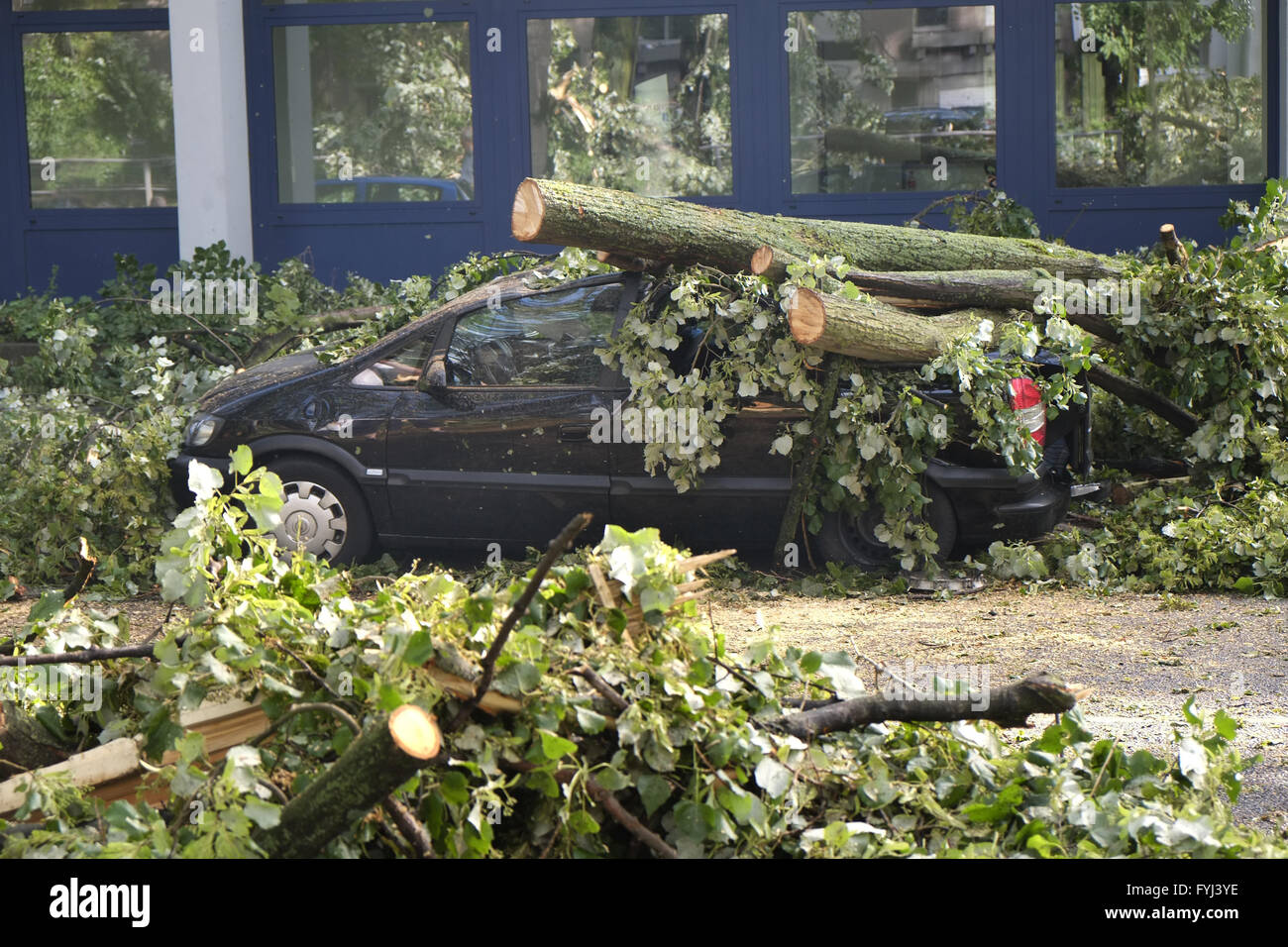 Car wreck under tree trunks Stock Photo