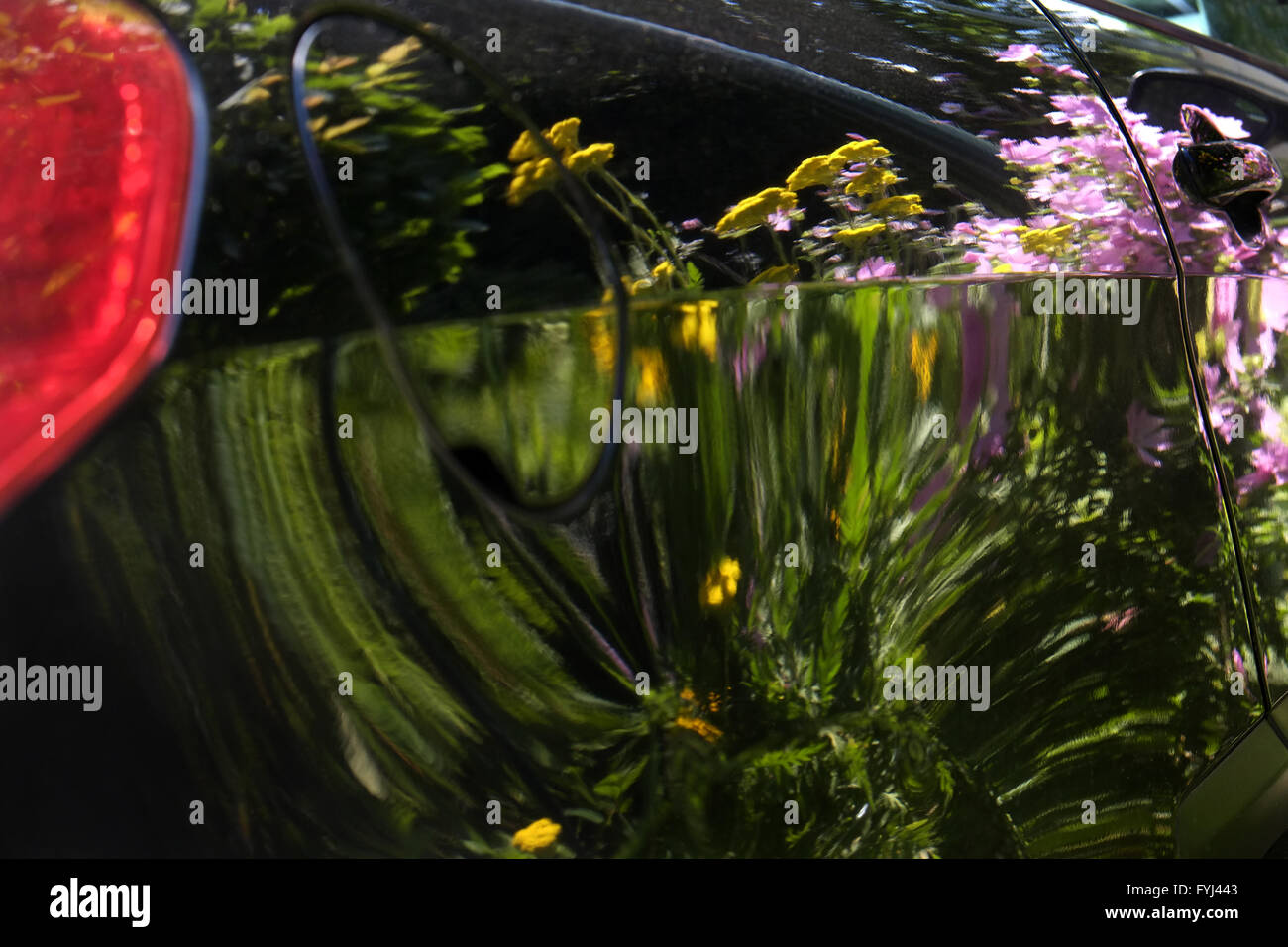 Reflection  in automobile paint Stock Photo