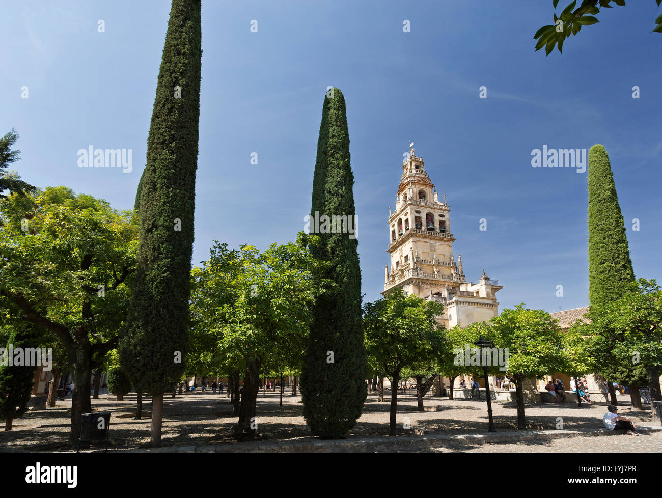 The Bell Tower, also called the Tower of Alminar, seen from the Courtyard of the Orange Trees of the Mosque-Cathedral of Cordoba Stock Photo