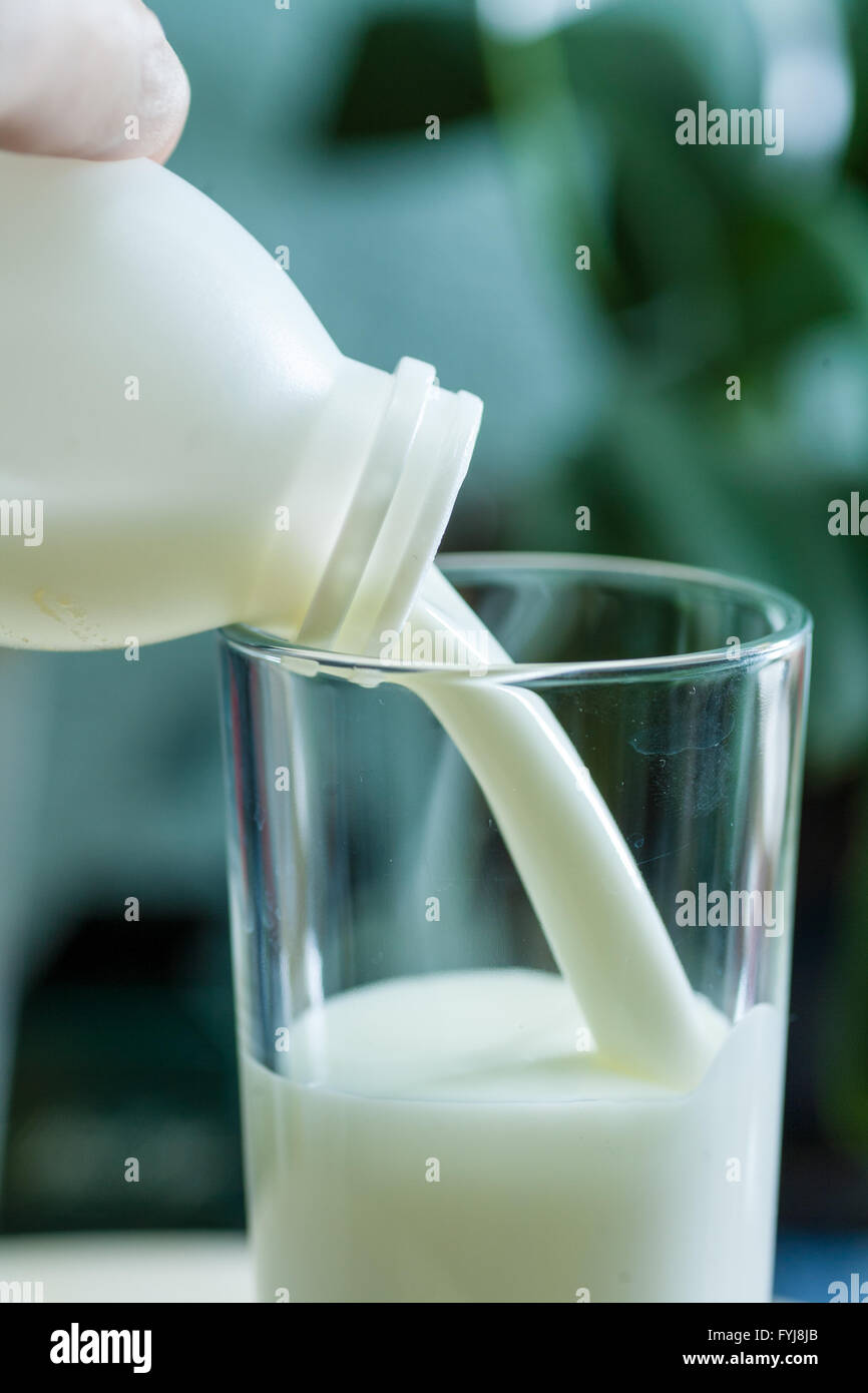 milk poured in glass cup over indoors background Stock Photo