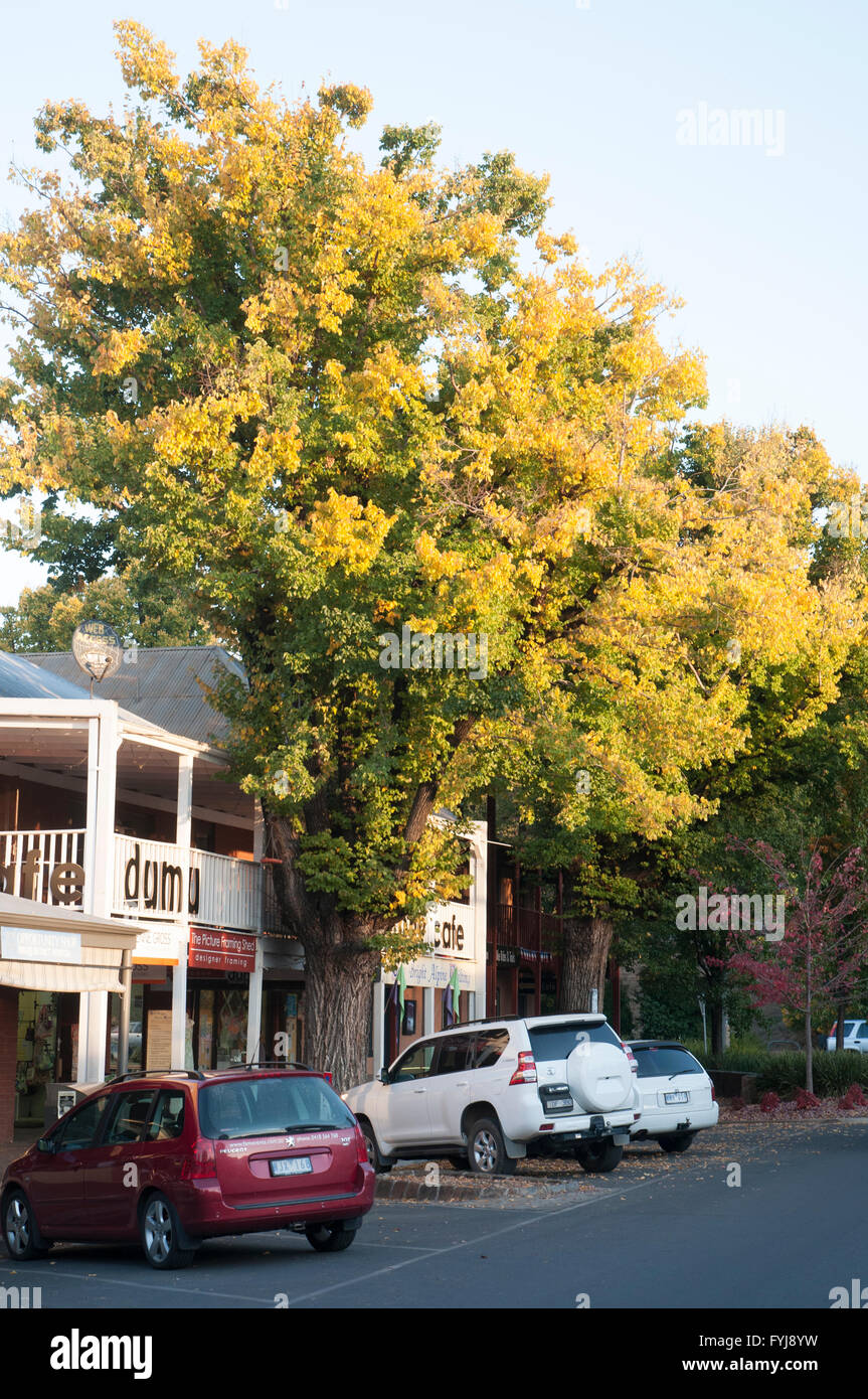 Streetscape in the Ovens Valley town of Bright, northeast Victoria, Australia Stock Photo