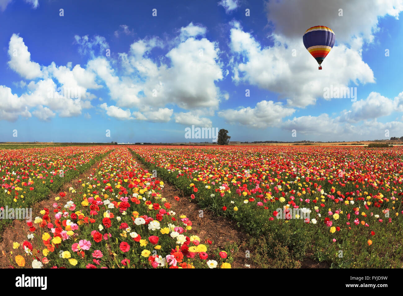 Парящие поля. Пейзаж с птичьего полета. Самолет над полем. Парень падает. Полет птицы в небе.