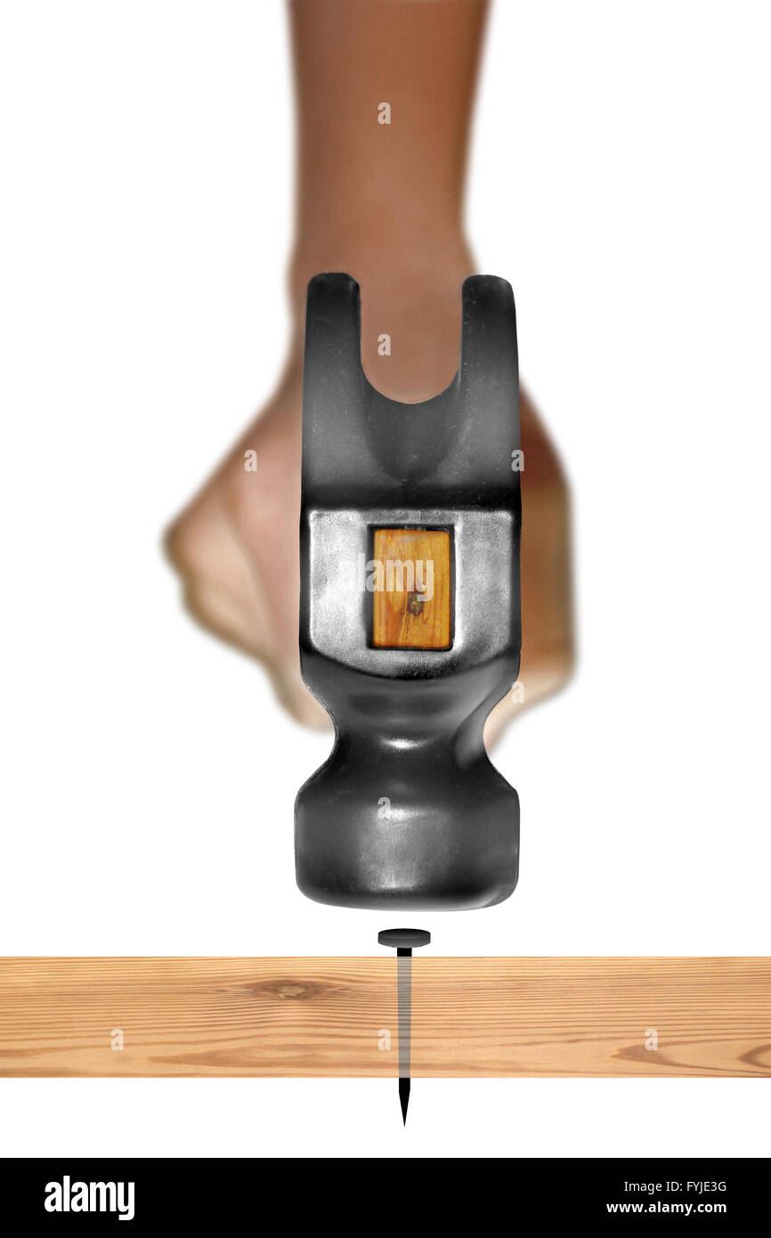 Hammer in Human Hand hitting a nail Stock Photo Alamy
