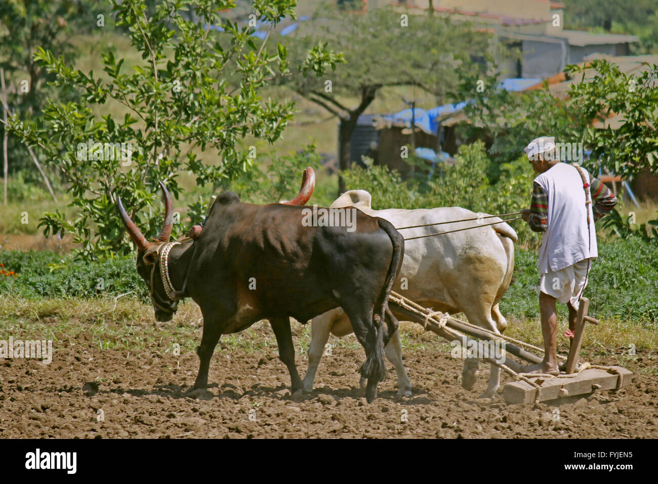 Manual Ploughing High Resolution Stock Photography and Images - Alamy