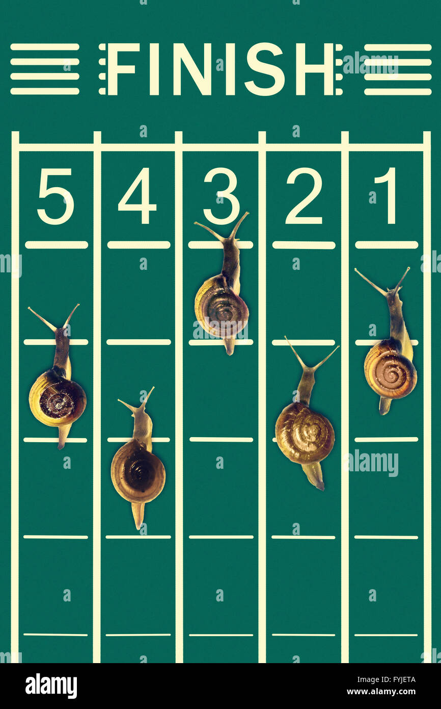 Snails running on track Stock Photo Alamy