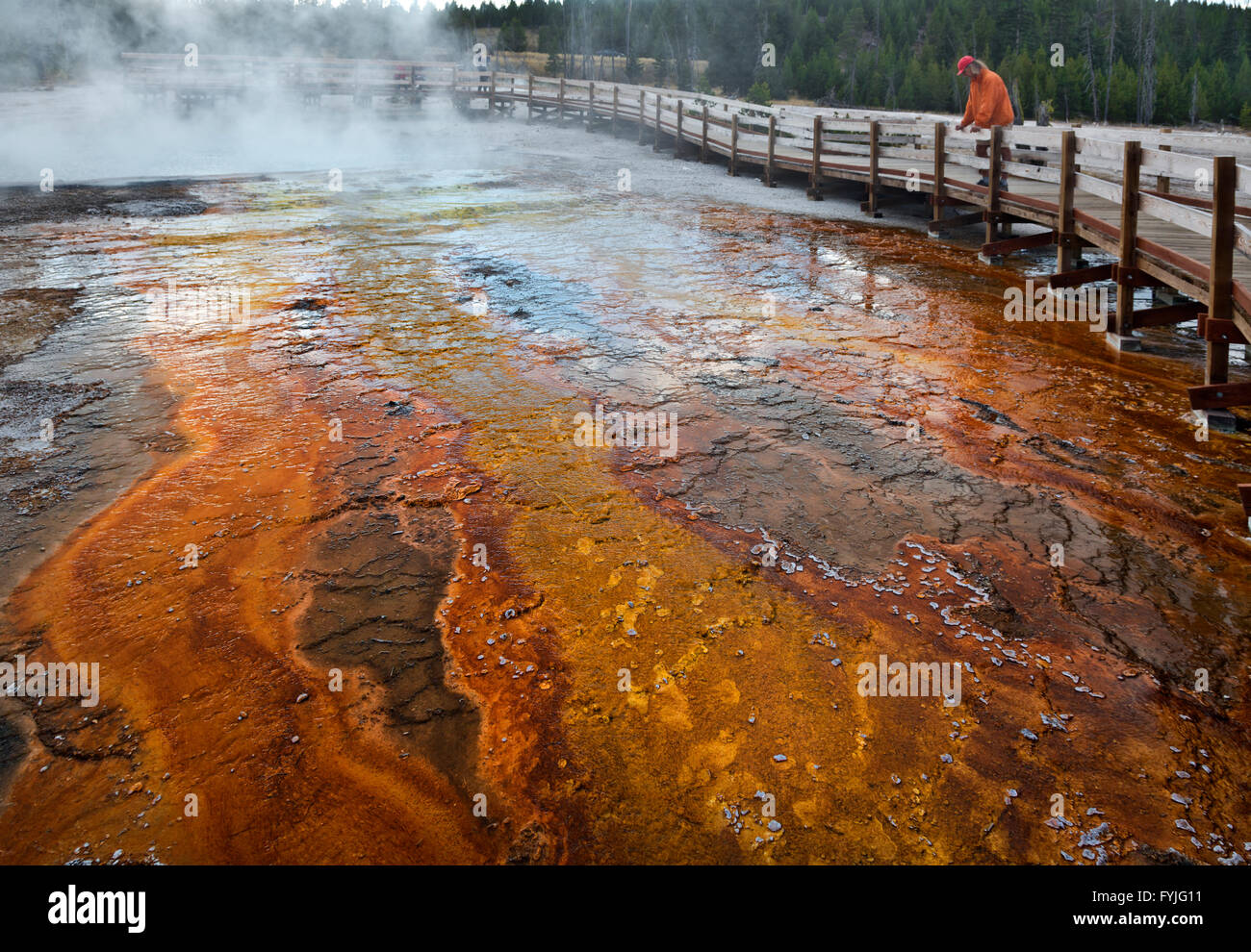 WYOMING - Tourist on boardwalk looking at the colorful algae at the Black Pool in the West Thumb of Yellowstone National Park. Stock Photo